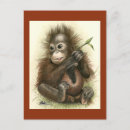 Suche nach orang utan baby postkarten Regenwald