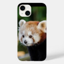 Recherche de animaux sauvages coques Animal sauvage