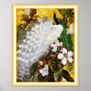 Recherche de peinture paon posters Blanc
