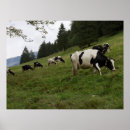 Recherche de swiss posters Mountain