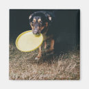 Suche nach mund magnete Hund