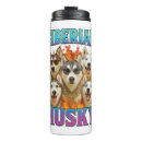 Suche nach siberian tassen Welpe