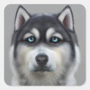 Suche nach alaskan malamute aufkleber Niedlich