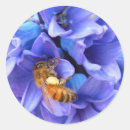 Suche nach hyazinthe aufkleber Hyakinth