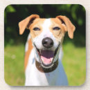 Suche nach wilder hund untersetzer Natur