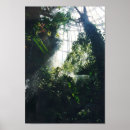 Suche nach wissenschaften poster Natur