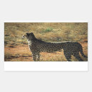 Recherche de chat sauvage autocollants Afrique