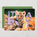 Suche nach tigerjunges postkarten Babyparty