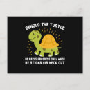 Recherche de coquille de tortue cartes postales Tortues