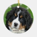 Suche nach berner sennenhund geschenke Haustier