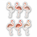 Recherche de couleur pêche autocollants Coloré