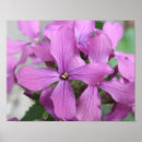 Suche nach lila wildblumen poster Blumig