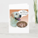 Suche nach gelbes labrador retriever karten Hund