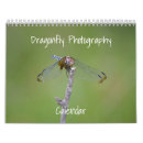 Recherche de libellule photographie Insecte