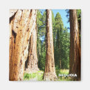 Suche nach riesen magnete California
