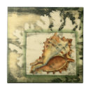 Recherche de shell carreaux Nature