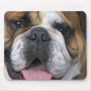 Suche nach region mousepads Reise