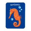 Recherche de hippocampe magnets Vie marine