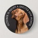 Recherche de refuge badges Chien