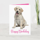 Suche nach gelbes labrador retriever karten Welpen
