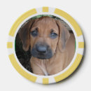 Suche nach welpen poker chips Haustier
