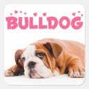 Suche nach english bulldog alle aufkleber Welpen