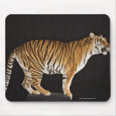 Suche nach plattform mousepads Natur