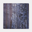 Recherche de loup de forêt magnets Nature