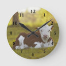 Recherche de repos horloges Animal