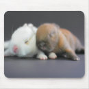 Suche nach extremen mousepads Selektiver fokus
