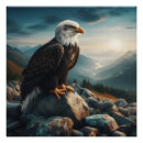 Recherche de d aigle posters Nature