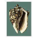 Recherche de conique cartes postales Coquille