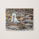 Recherche de westie puzzles Animaux