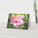 Recherche de hibiscus vœux cartes Fleurs d'hibiscus