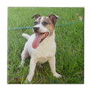Suche nach zunge fliesen Hund