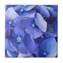 Suche nach hydrangea blume fliesen Natur