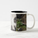 Suche nach betrachten der kamera tassen Menschliches körperteil