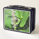 Recherche de abeille aliments conservation Cool