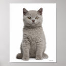 Suche nach wochen poster Tier