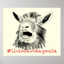 Recherche de la chevre posters Drôle