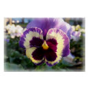 Recherche de de ressort posters Violet