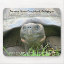 Recherche de cruz tapis souris Photographie