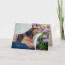 Suche nach waliser postkarten Terrier