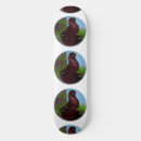 Recherche de anglais skateboards Rouge