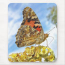 Suche nach gemalte mousepads Schmetterling
