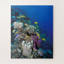 Suche nach kleine puzzle Fisch