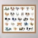 Suche nach tieralphabet poster Ausbildung