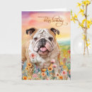 Suche nach english bulldog Geburtstag