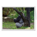 Recherche de maintenant photographie Faune