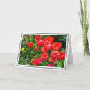 Suche nach rote blüte karten Schön